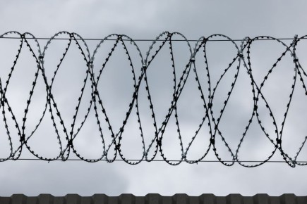 ����� ��������� 23 ������, � ������� ���� ��� ������������ � ��������� ���