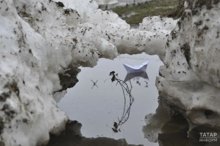 ������ � ���������� �� 19 �����: �����, �� �� ������� ����������