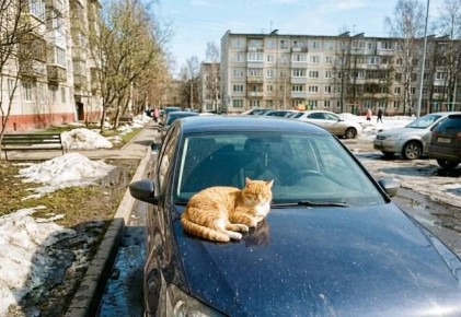 ����� �����������: ��������� �� ������ +13 � �� �� �� ��� ������