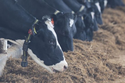 ����� �� ������������ ���� ����� � ���������� �������� �������� 1,5 ���� ������, ��� ����� 368 ��� ������� ������ ��-�� ���������, �������������� ����� � ������� ��������, ���������� �������� ������ ����������.������.�����....