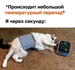 � ���������� ������ ��������� ������������� ������: �� -9 �� +9