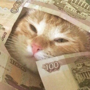 � ������� ���������� �������� ���� � ������ �� 60 ����� ������