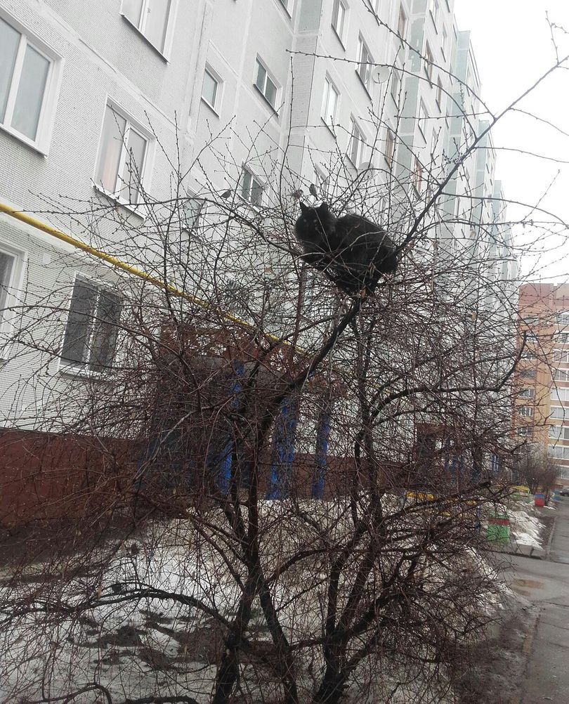 На сегодня прогноз обещает до 6 градусов тепла, без осадков и слабый юго-западный ветер