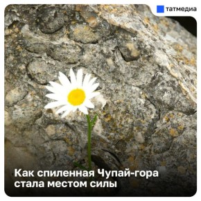 Раскрыт секрет камня, из которого строили «сталинки» в нефтяном краю Татарстана