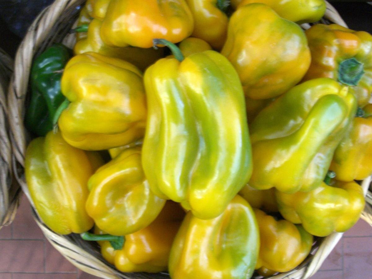 Как добиться рекордного урожая перцев: советы по выбору места для посадки