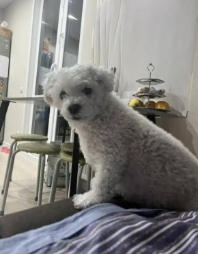 ����� ����� ���� ���: ������ ����������� �� ������