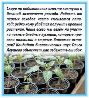 ����� �� ������������ ������ �������� � ������� ���������� �������