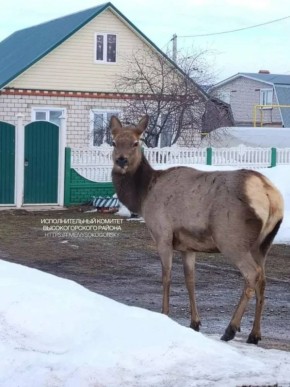 � ������������� ������ � ������ �� ����� �������� ������