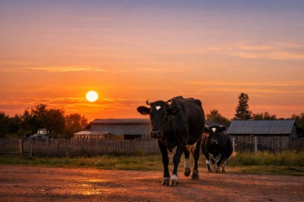 �������� �� ���������� ����: ������� �������� ����� �����