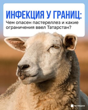 ������������ �������� ����������� ���� �� ������-������ ������ � ����������