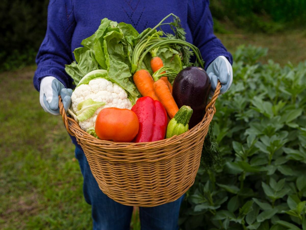 Как создать собственный огород и сэкономить на продуктах питания