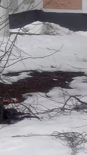 �� �������� 16 ������� ������ ������� ��������