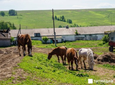 В Татарстане в 2026 году на программу «Комплексное развитие сельских территорий» направят более 10,6 млрд рублей
