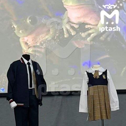 Родителей учеников зеленодольского лицея заставляют покупать "колхозную" форму за 20к+