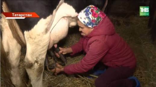 ������� ���� �������: ������� ��������, ���� ������