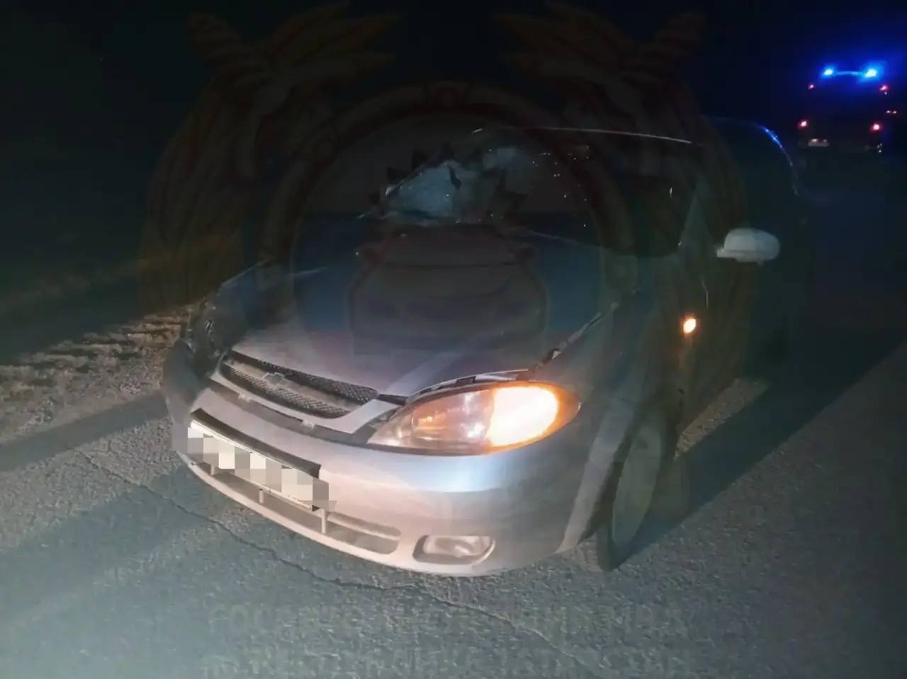 Смертельное ДТП в Заинском районе: пешеход погиб на месте