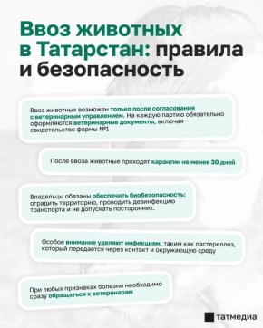 ���� �������� � ���������: ��� ����� �����?