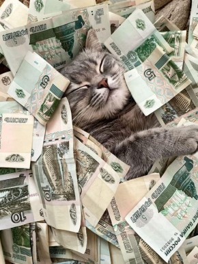 � 2026 ���� ����������� ������ �������� ����� �� 110 000 ������ �� �������� �������