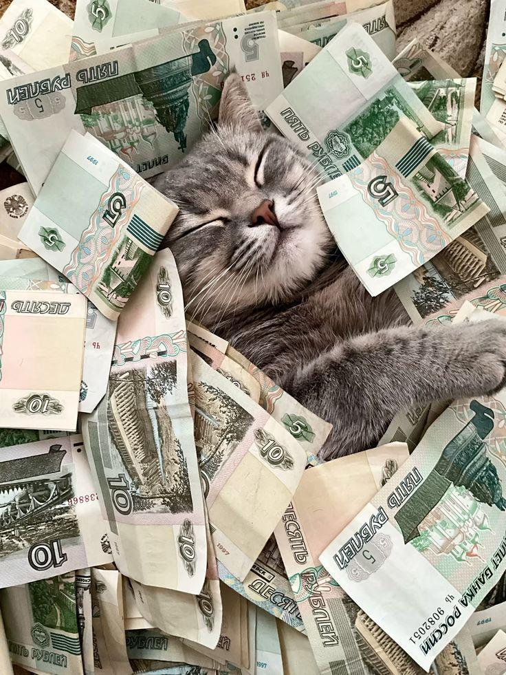 В 2026 году татарстанцы смогут оформить вычет до 110 000 рублей за обучение ребенка