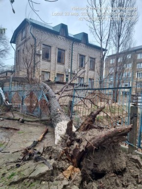 Дагестан борется с последствиями рекордного ливня и мощного ветра – 60 тыс