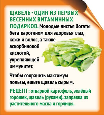 Весной организм испытывает недостаток витаминов, и полезные салаты — лучший вариант для ежедневного меню Весной организм испытывает недостаток витаминов, и полезные салаты — лучший вариант для ежедневного меню