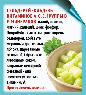 Весной организм испытывает недостаток витаминов, и полезные салаты — лучший вариант для ежедневного меню Весной организм испытывает недостаток витаминов, и полезные салаты — лучший вариант для ежедневного меню