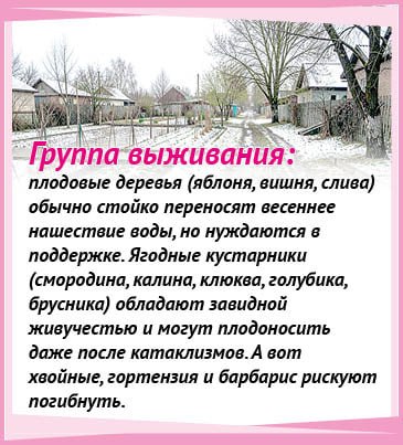Чем излишек влаги опасен для растений на дачном участке и как им помочь пережить затопление, рассказывает наш постоянный консультант - кандидат биологических наук Ольга ЛЕУШЕВА Чем излишек влаги опасен для растений на дачном участке и как им помочь пережить затопление, рассказывает наш постоянный консультант - кандидат биологических наук Ольга ЛЕУШЕВА