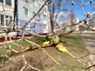 ��������� ��������� ��� �����, �� ������� ��������� ������������ ����� ������, ������ ���������� �� +10