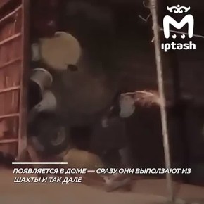 ��� ���������� ���� �������� ������� � �������� �� �����������