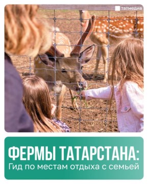 �������, ����� � �������: ���� ������� � ��� ����������