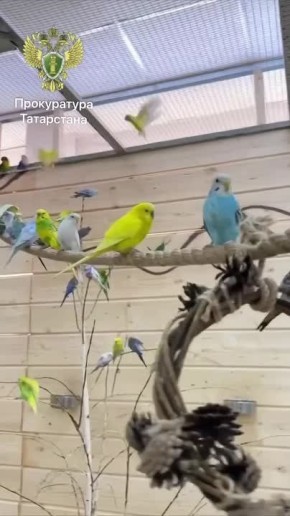 � ���������� ������ ����������� ��������� �������� ��������