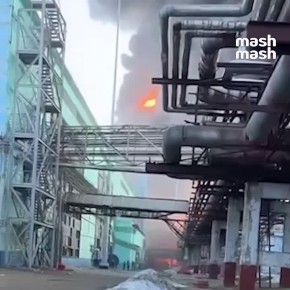 ���� ������� ����� � 52 ���������� ��� ������ �� ������ "������������������"