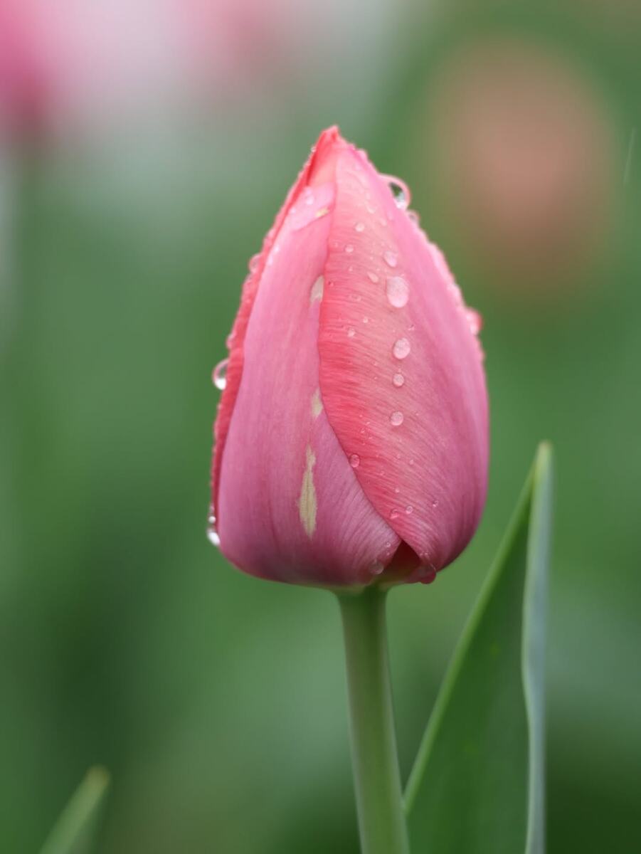 Как найти себя после 60: правила, которые дарят спокойствие и счастье