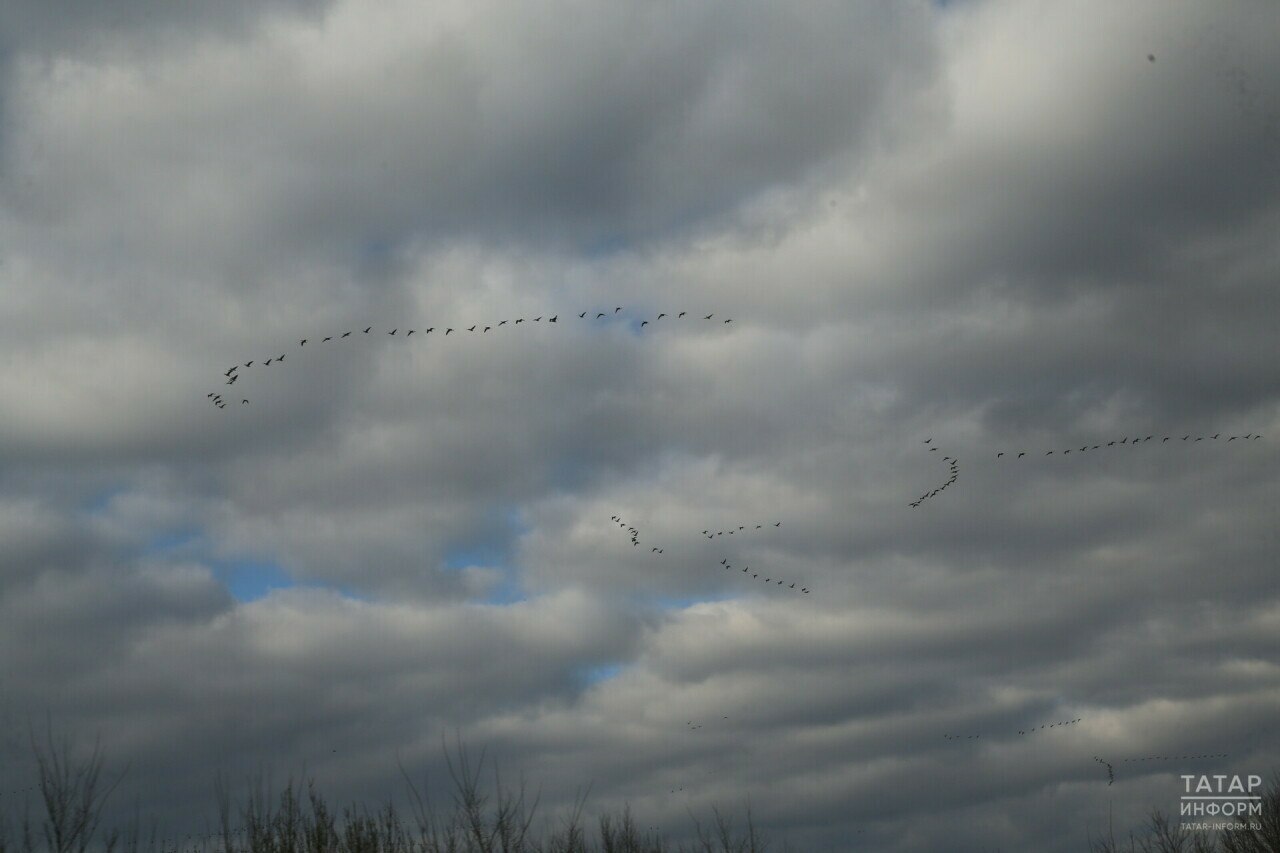 Погода в Казани 2 апреля: утром и днём — дождь