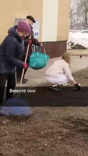 ������������ ��������� ����������