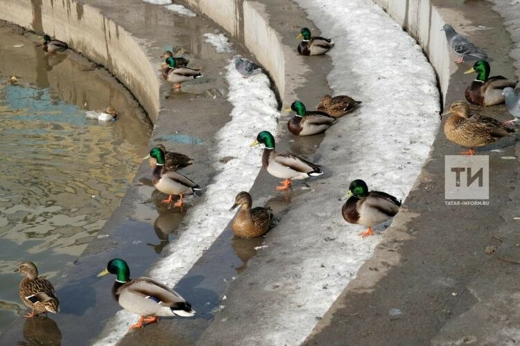 Доброе утро, Казань! Сегодня 1 апреля
