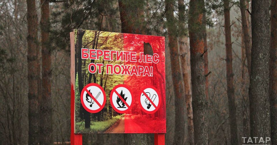 � ���������� ��������� � �������������� ������: �������� ����� 2,5 ������ ���������� �������� �����