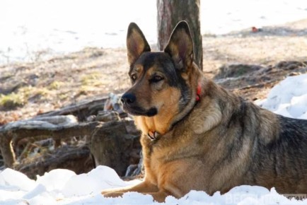 ������ ������ ������ ��������� ������� � ���������� �������� ��������