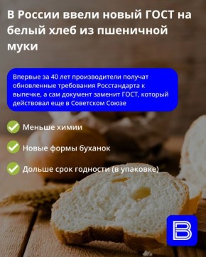 � ������ ����� ����� ���� �� ����� ���� �� ��������� ����