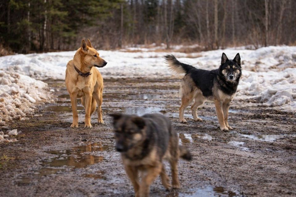 ��� � ����: ����������� ��� ������ ������� ���� �����