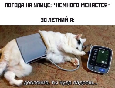 ������ ���������� ������ ��������� ��������� ���� ��������� � 6 �� 8 ������