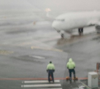 � ��������� ������ �� ������ � ����� ����������� ����� 90 ������ �� ���� ������