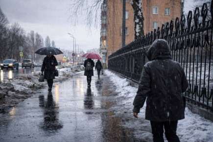 �������� ����� � ������: ��������� ��� ��������������� ����� ������