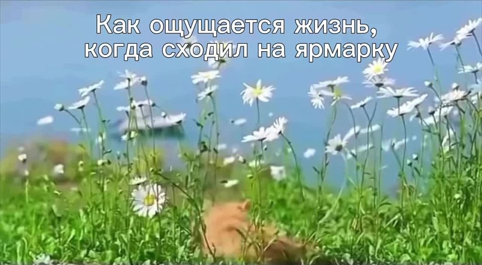 ����� ����� ����� ��������, ����� ������ �� ��������������