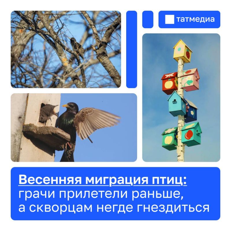 ��������� ���������, ������ ������ � ��� ������ ��� ��������