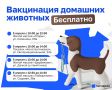 Бесплатная вакцинация домашних животных пройдет в Казани 5 апреля