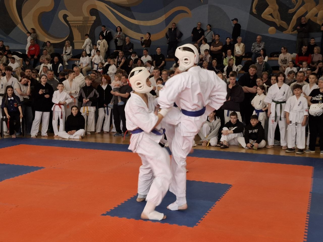 В Нижнекамске проходит республиканский турнир по киокусинкай В Нижнекамске проходит республиканский турнир по киокусинкай