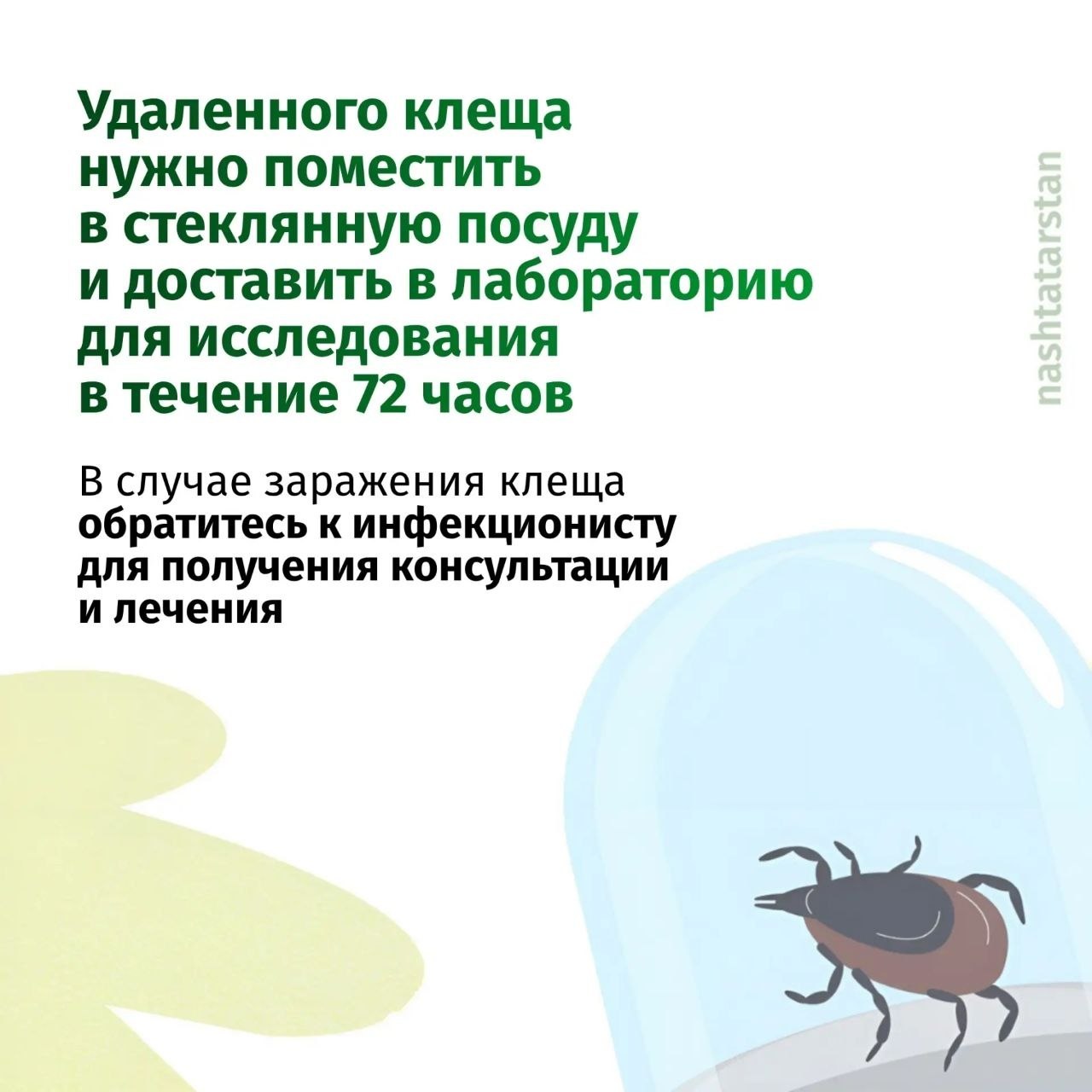 В Татарстане зарегистрированы первые случаи укусов клещей В Татарстане зарегистрированы первые случаи укусов клещей