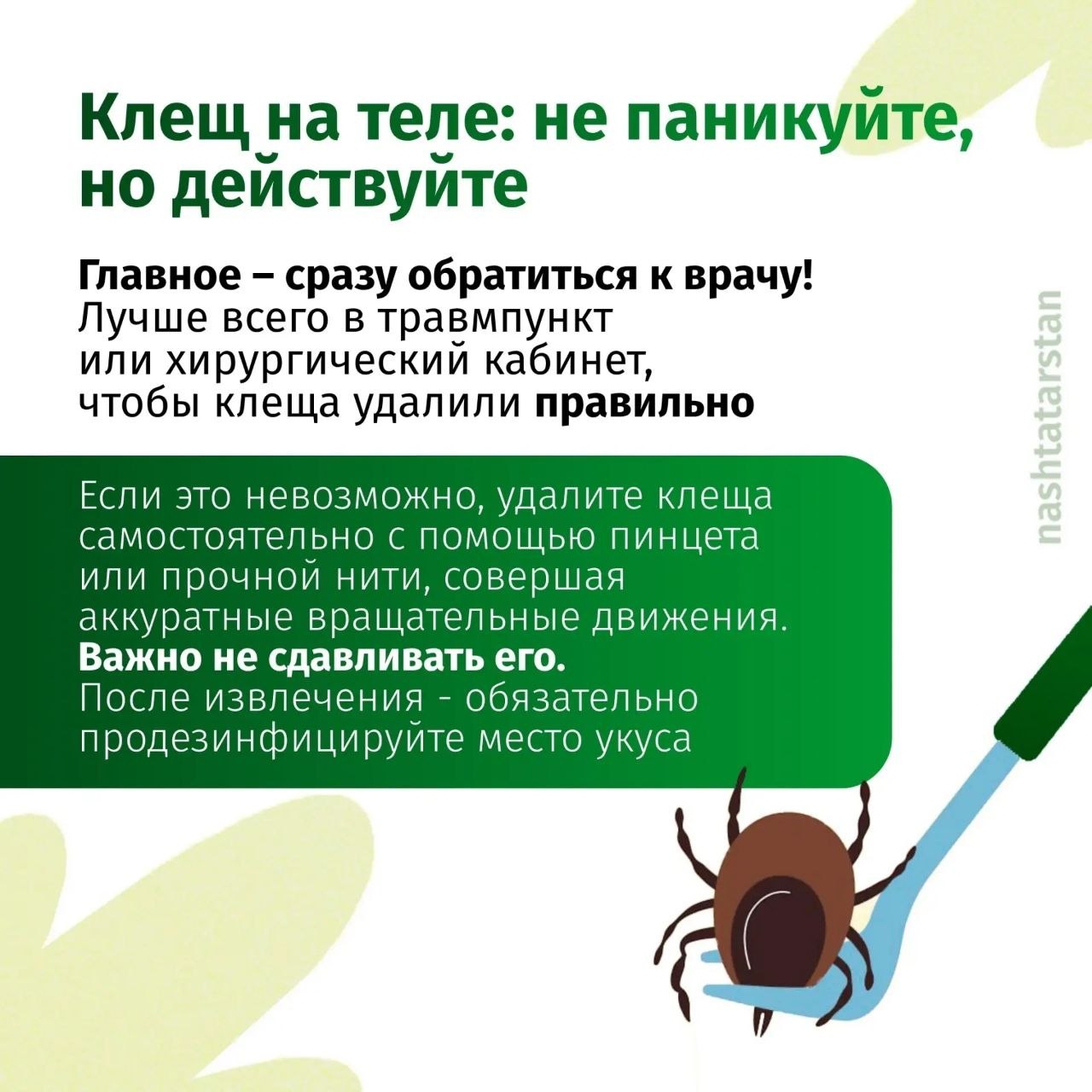 В Татарстане зарегистрированы первые случаи укусов клещей В Татарстане зарегистрированы первые случаи укусов клещей