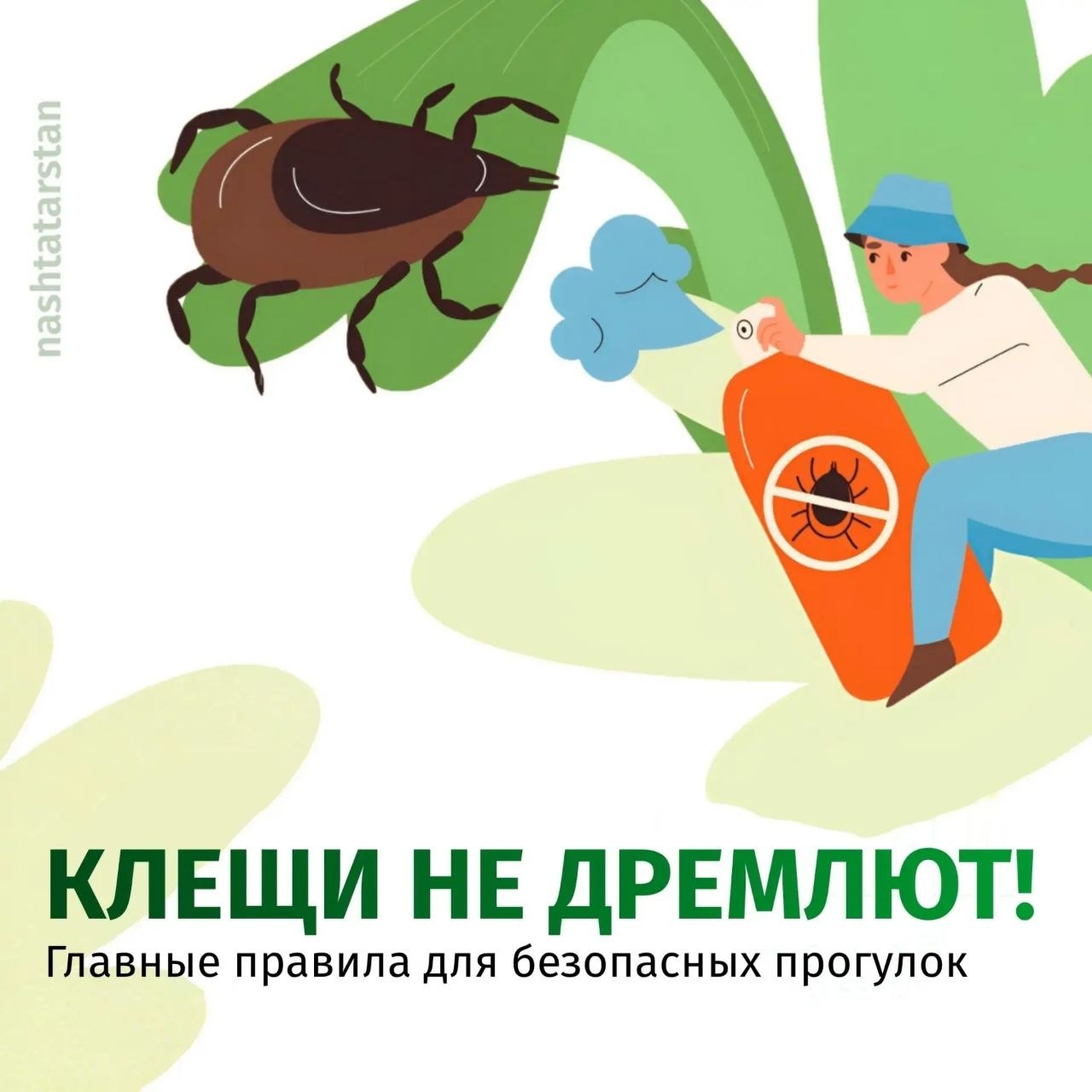 В Татарстане зарегистрированы первые случаи укусов клещей